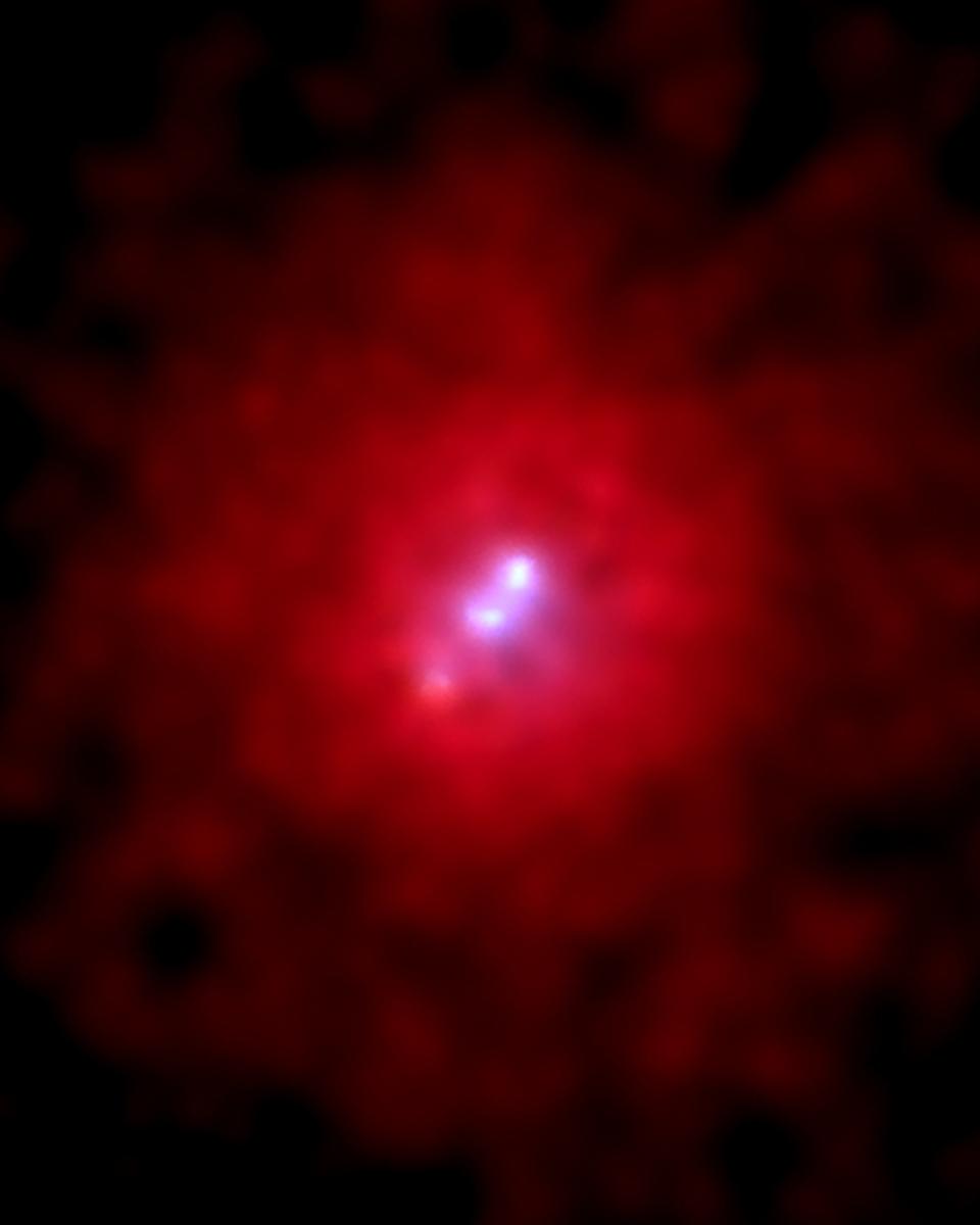 3C 295: X-rays From A Giant Galaxy