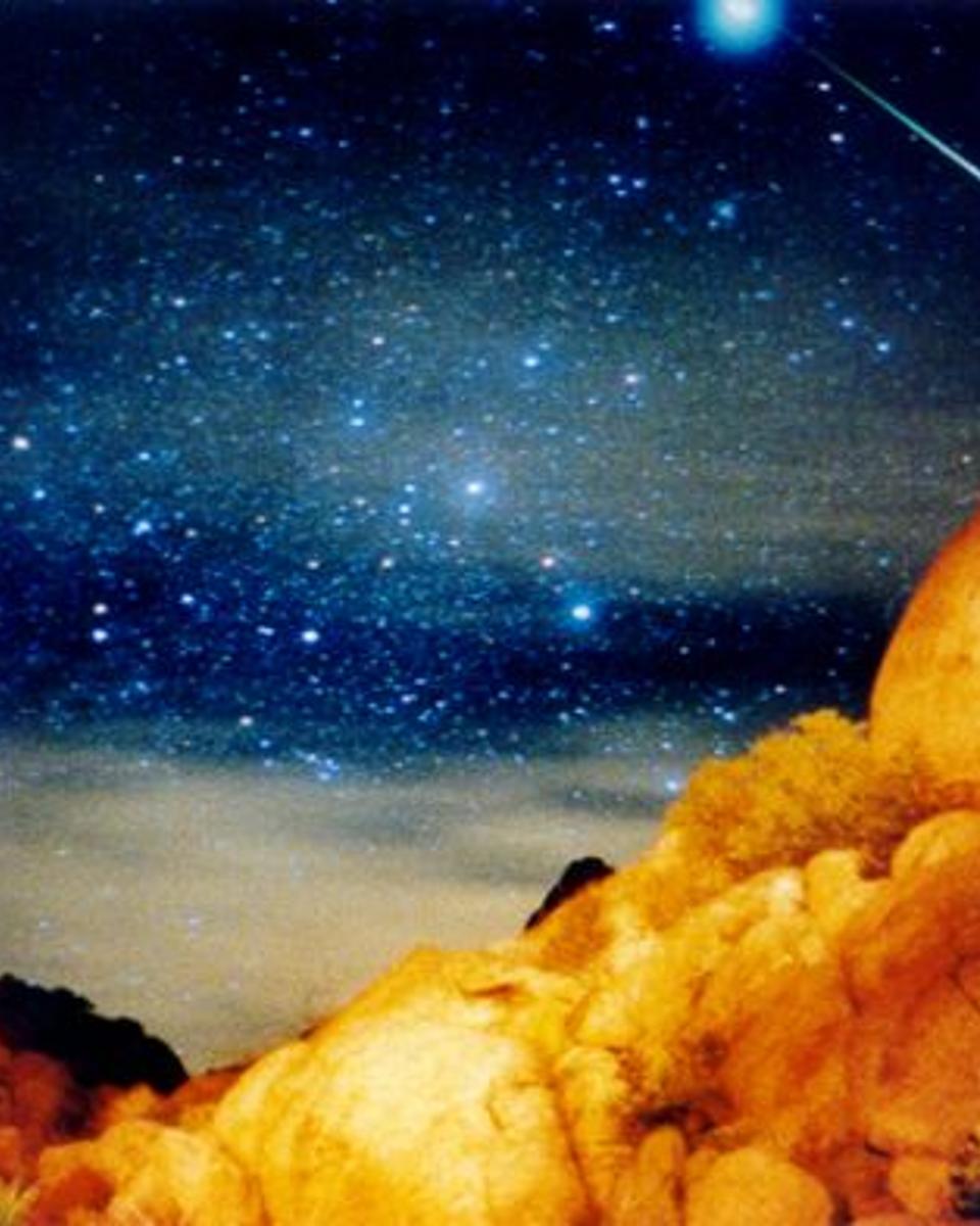 A Sirius Leonid Meteor