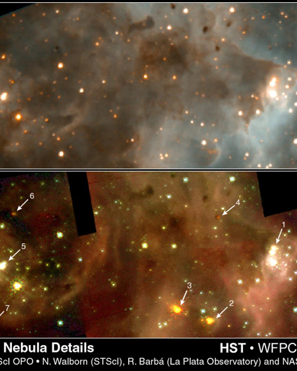 New Stars In 30 Doradus