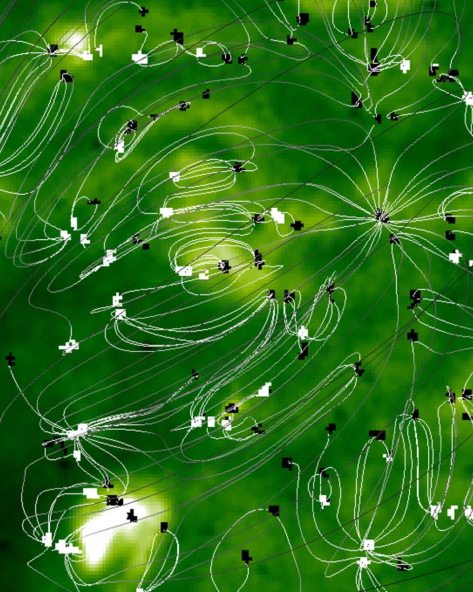 The Magnetic Carpet Of The Sun