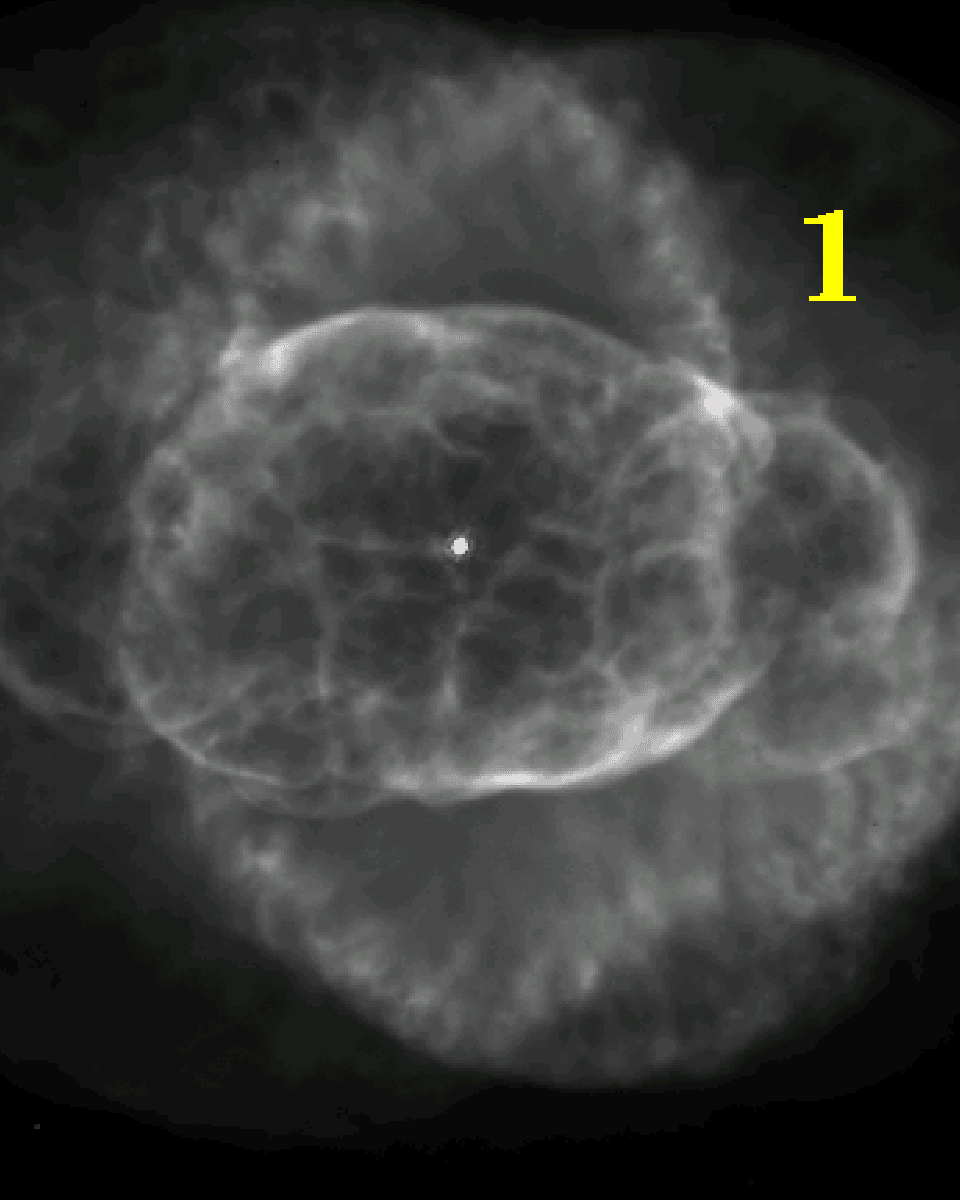 The Incredible Expanding Cat's Eye
