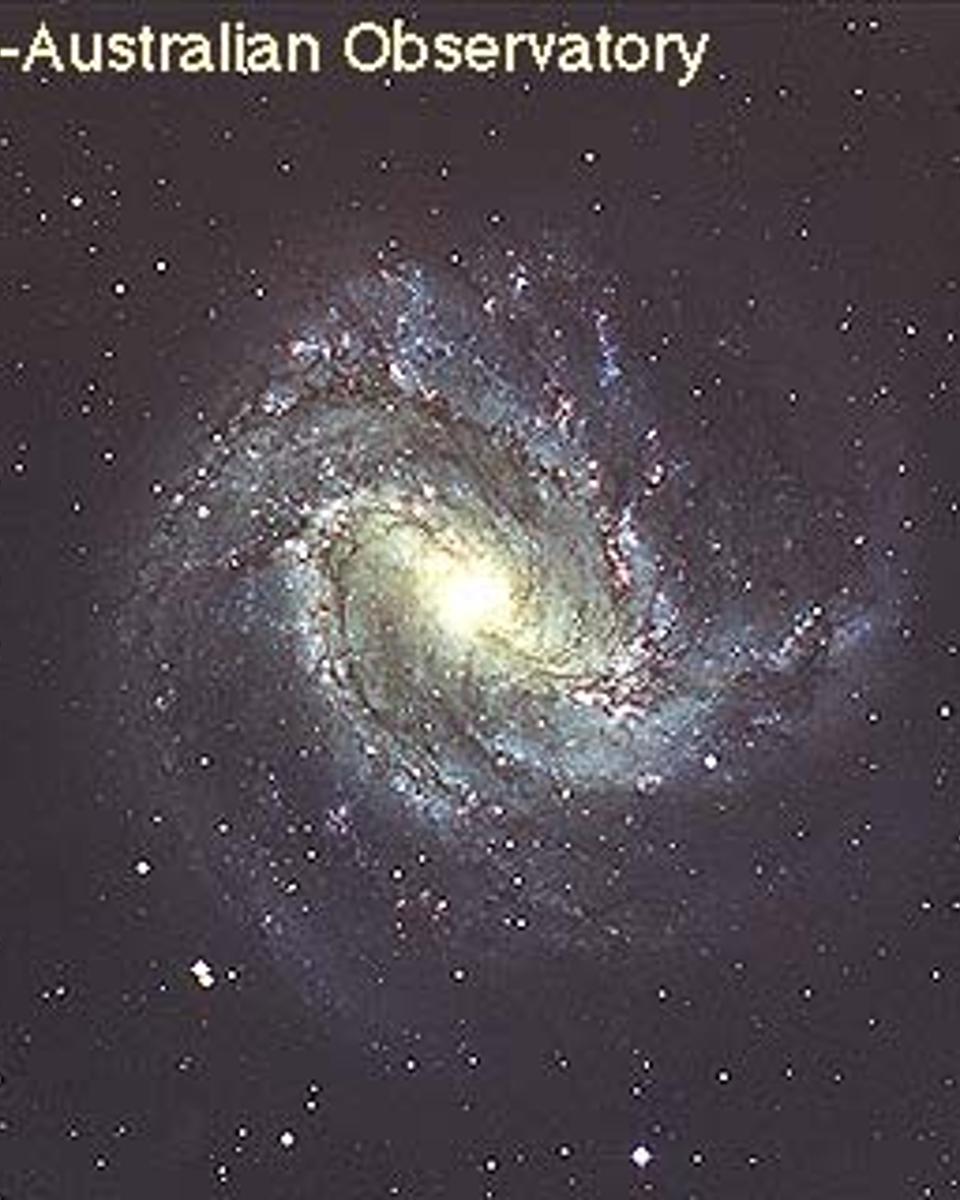 M83: A Barred Spiral Galaxy