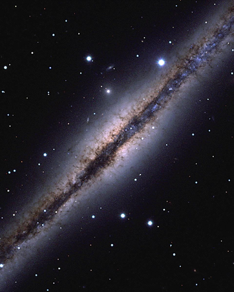Interstellar Dust-Bunnies of NGC 891