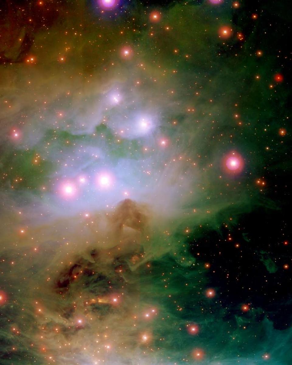 The Colorful Orion Nebula