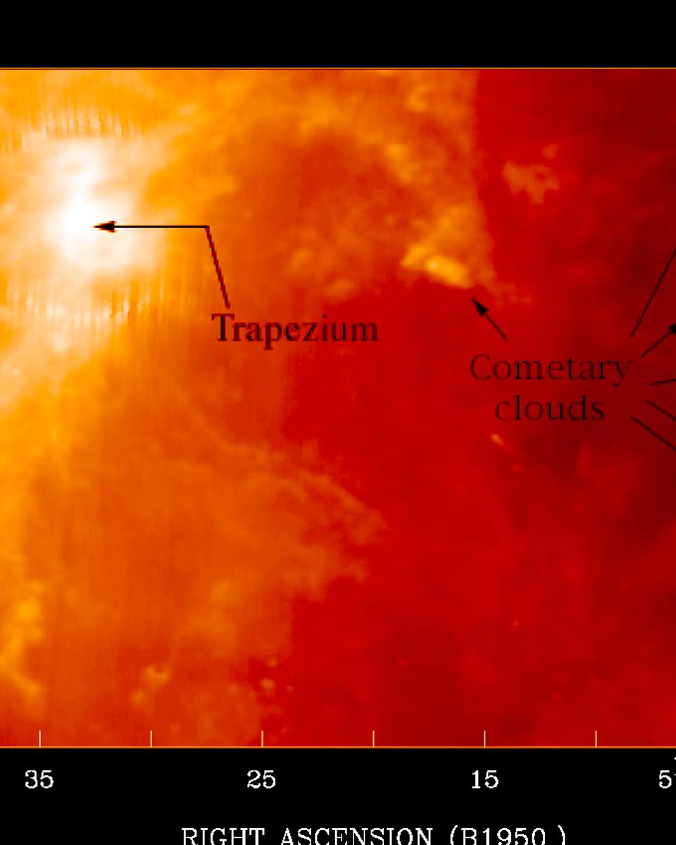 Cometary Globules In Orion