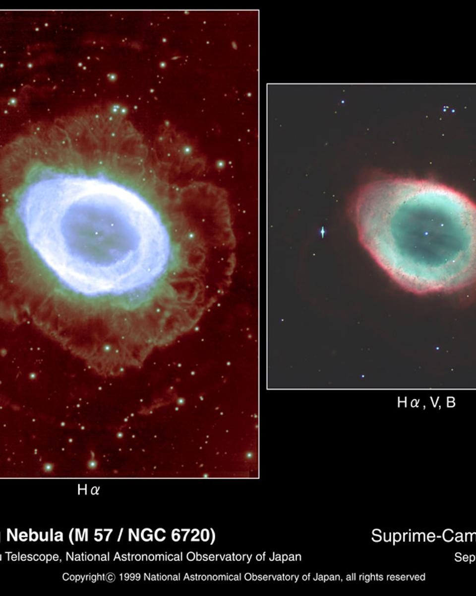 Halos Around the Ring Nebula