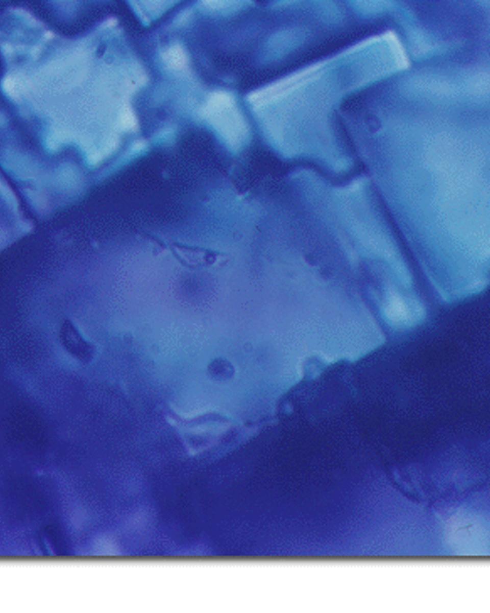 Water Found in Space Rock