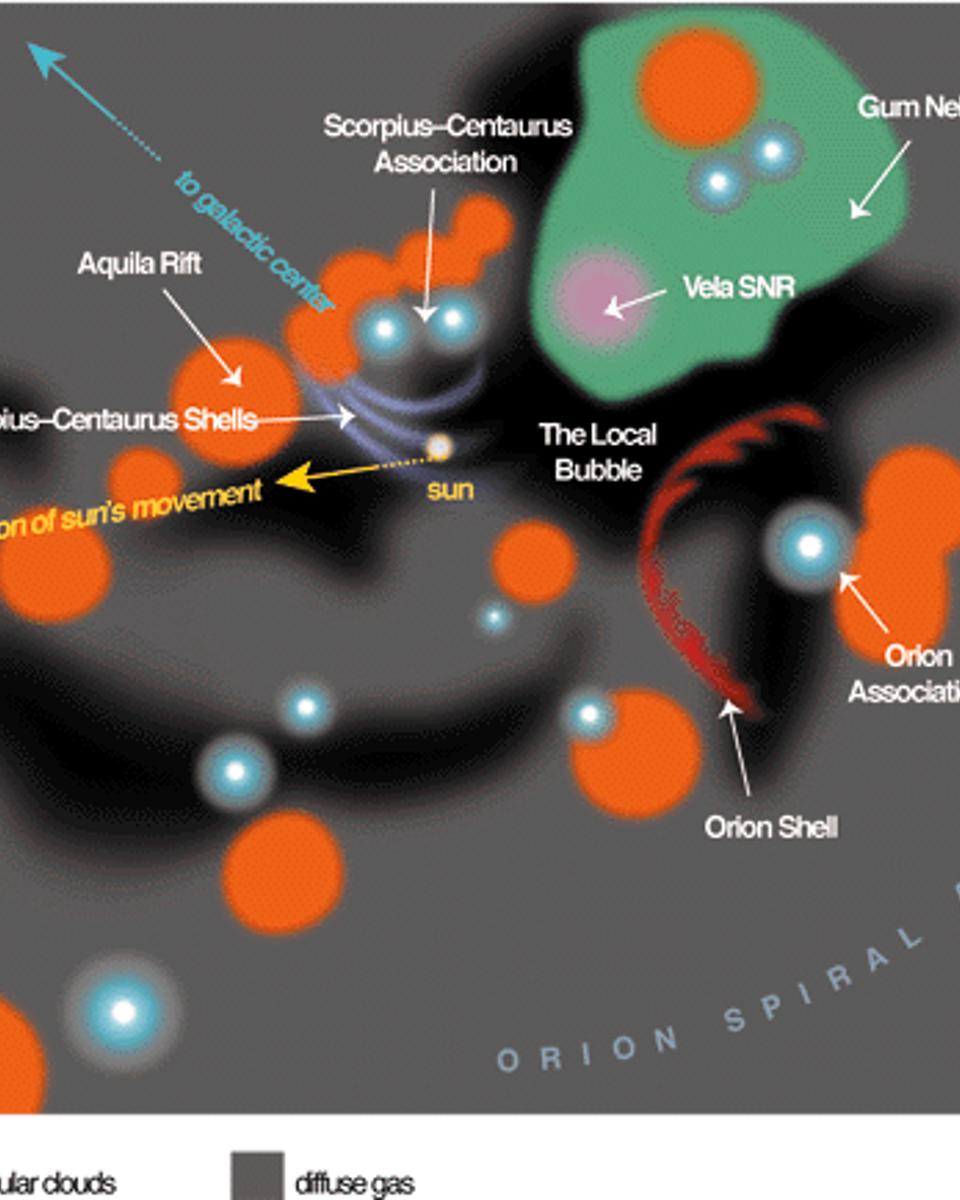 The Local Bubble and the Galactic Neighborhood