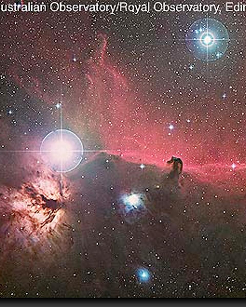 Orion's Horsehead Nebula