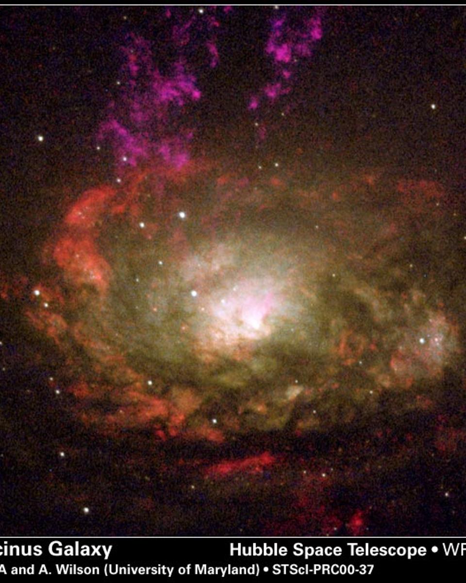 The Circinus Galaxy