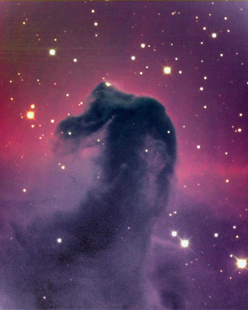 The Dark Horsehead Nebula