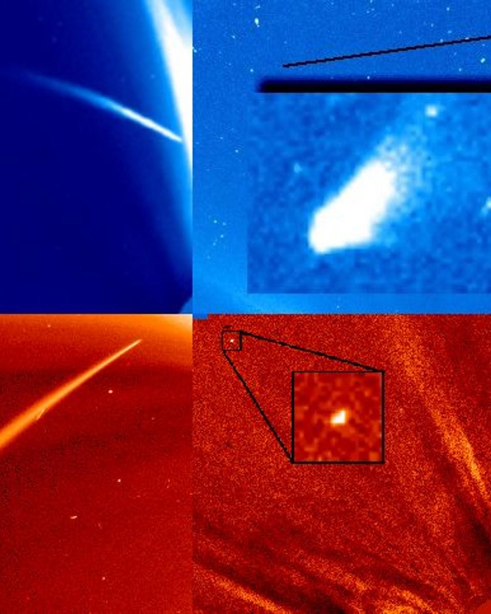 The Comets Of SOHO