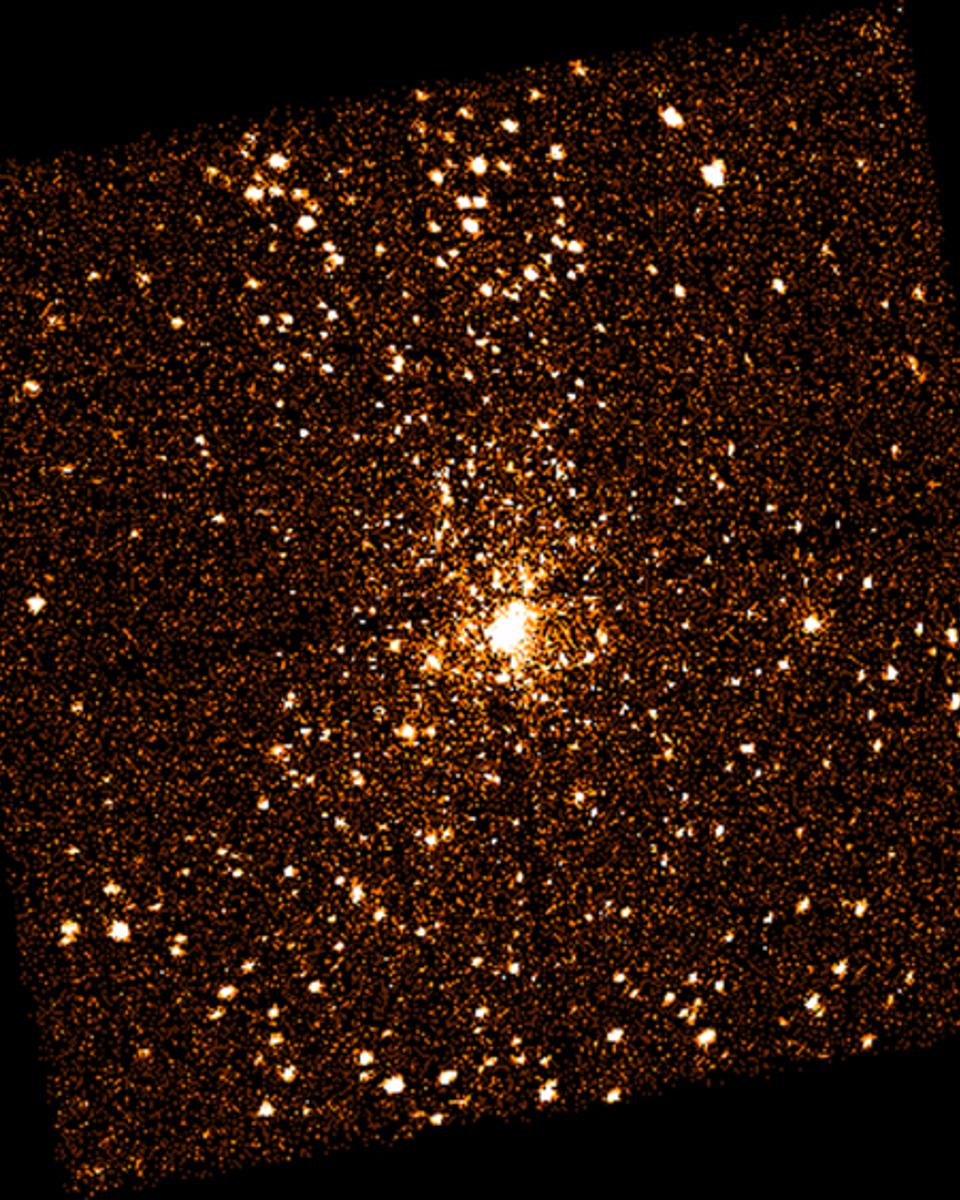 X-Ray Stars Of Orion
