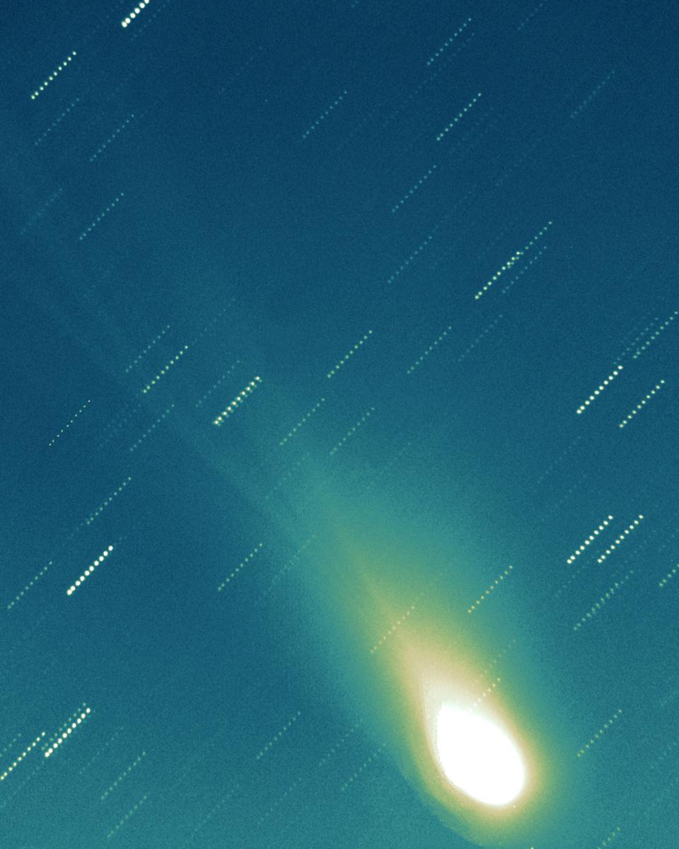 Tails Of Comet LINEAR