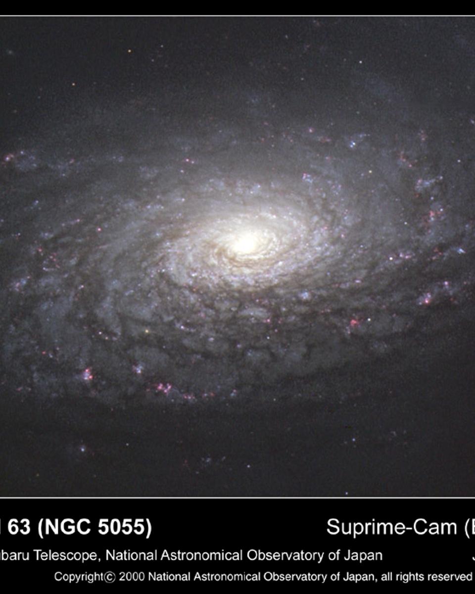 M63: The Sunflower Galaxy