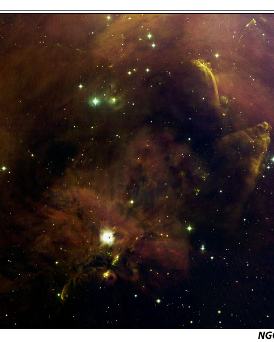 A Panorama of Oddities in Orion A