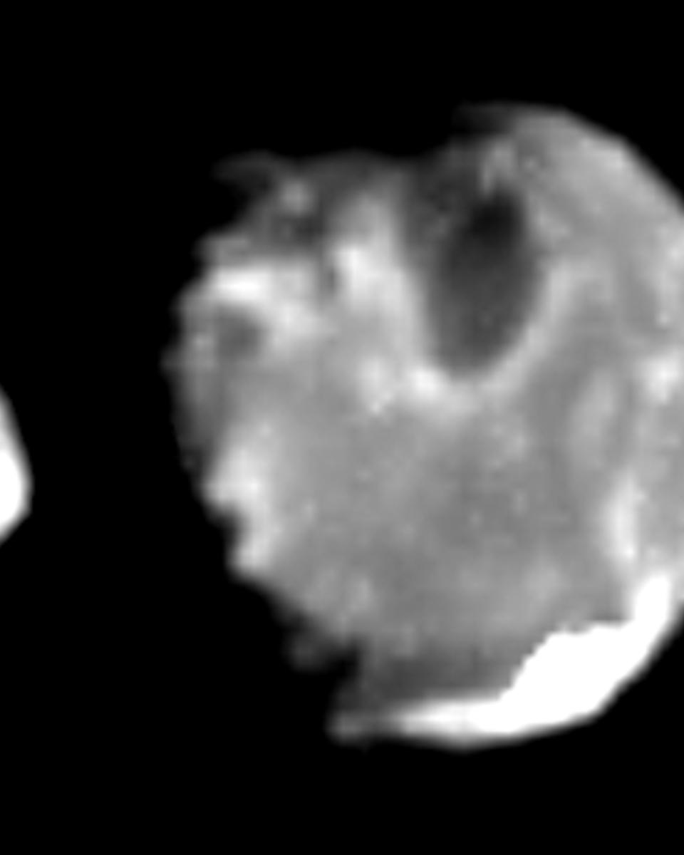 Jupiter's Moons Thebe, Amalthea, and Metis