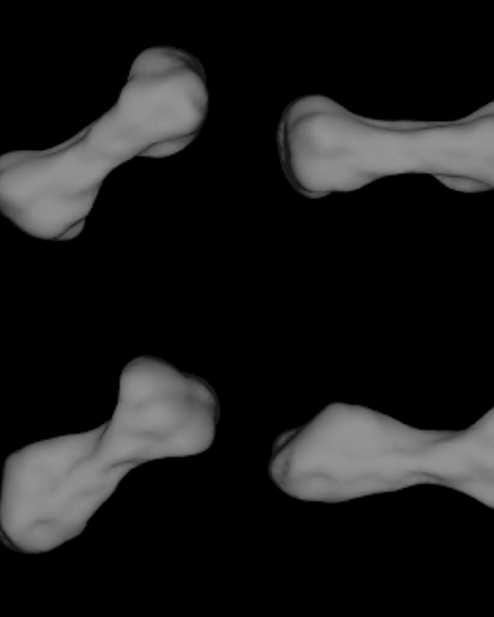 Dog-Bone Shaped Asteroid 216 Kleopatra