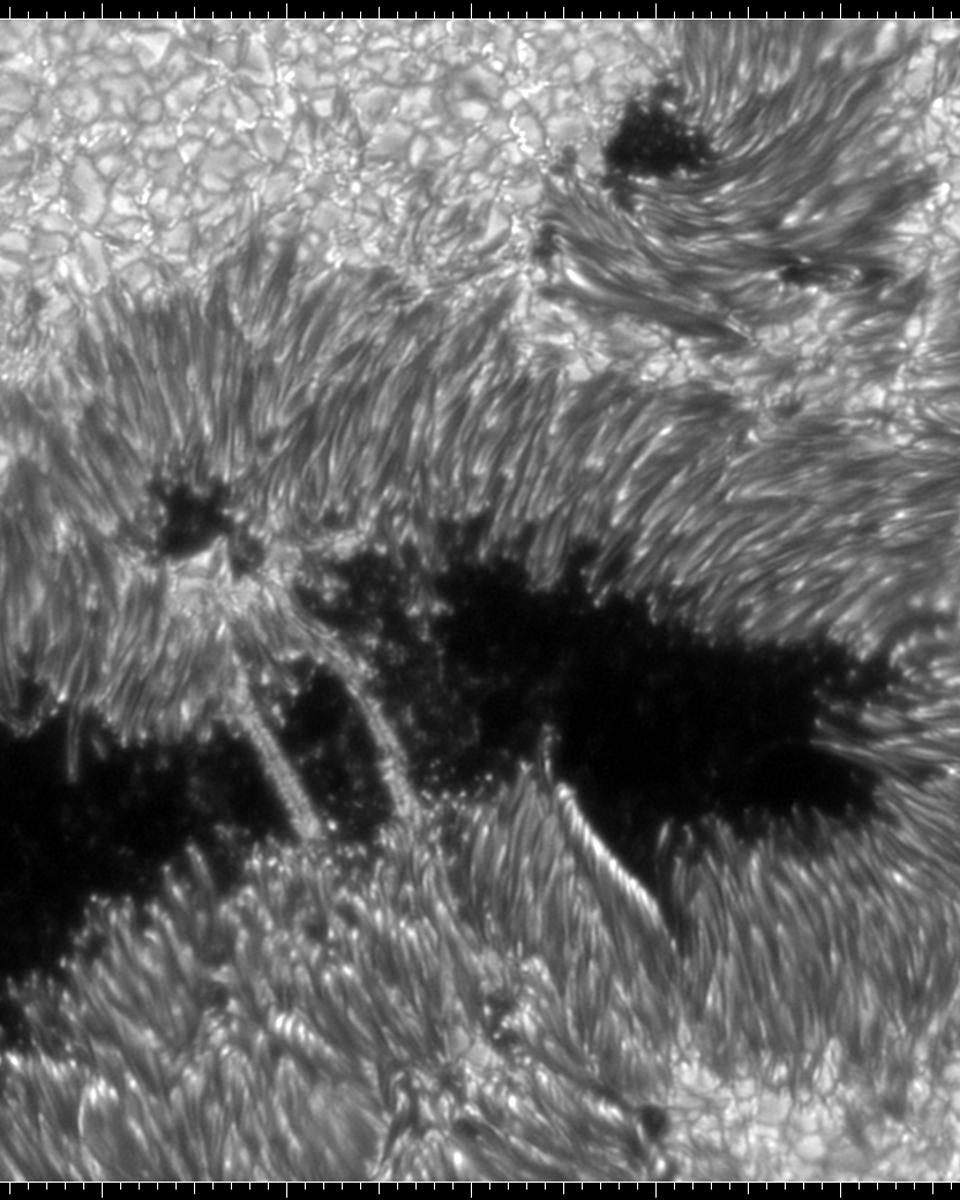 Light Bridges on the Sun