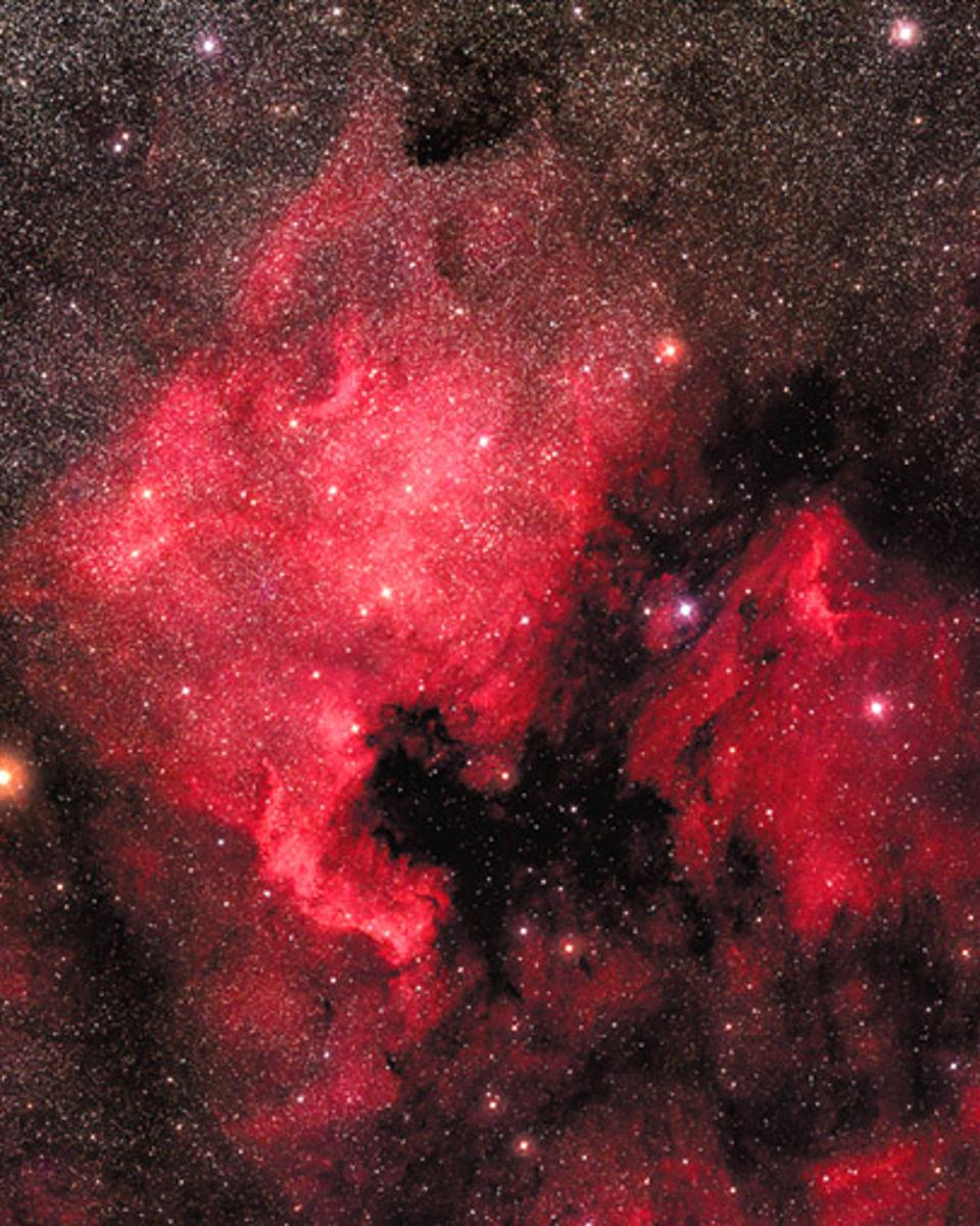 The North America Nebula