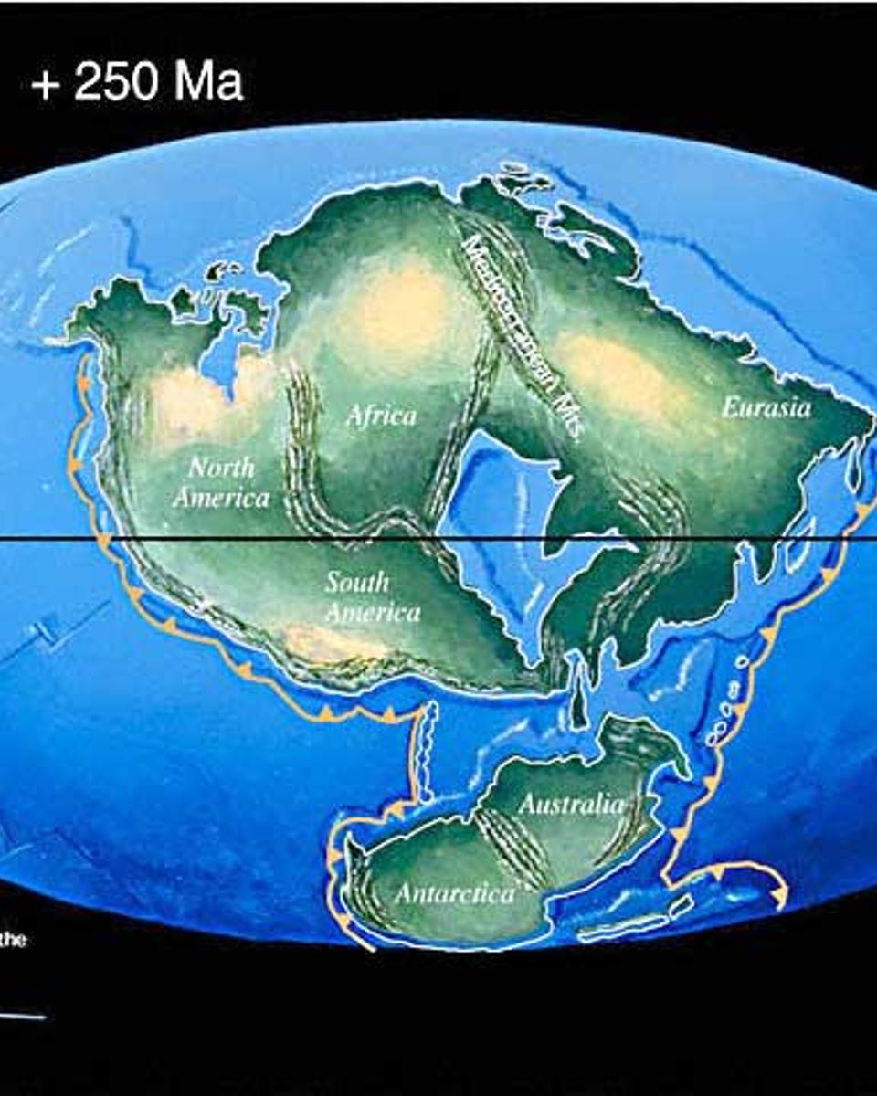 Pangea Ultima: Earth in 250 Million Years?