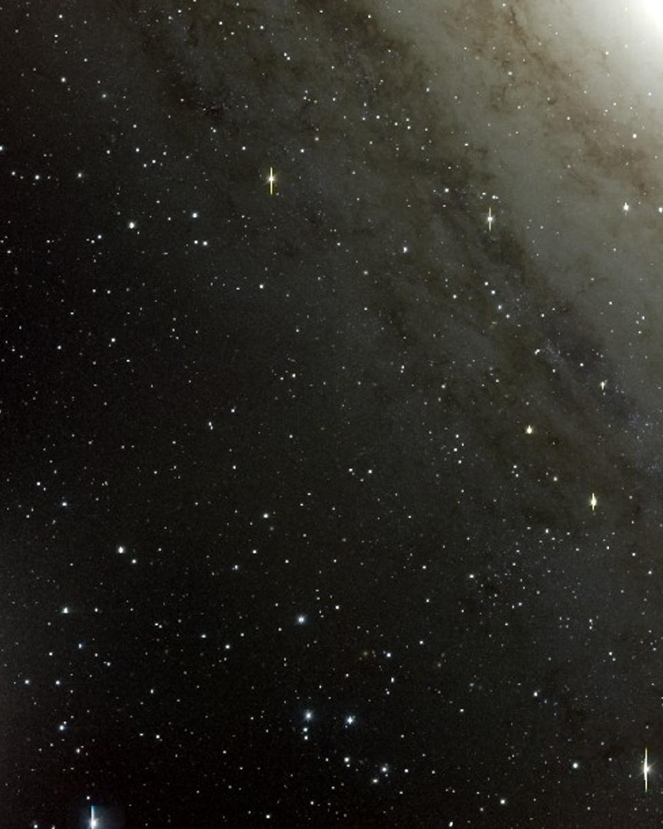 Dwarf Elliptical Galaxy NGC 205 in the Local Group