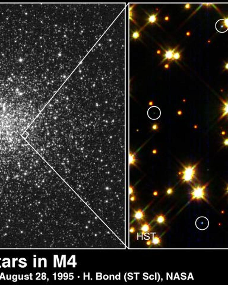 White Dwarf Stars Cool