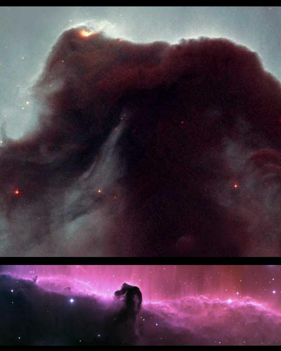 Horsehead Rides Again