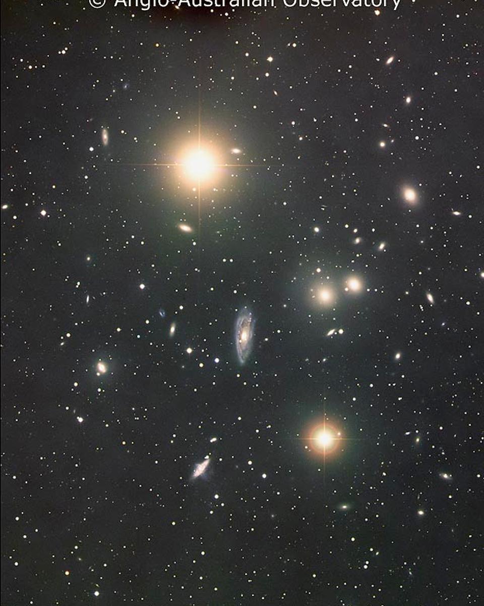 The Hydra Cluster of Galaxies