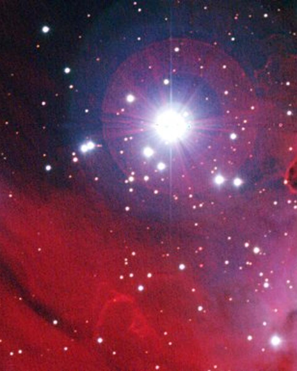 NGC 2264: Stars, Dust, and Gas