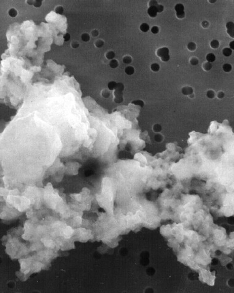 A Piece of Interplanetary Dust