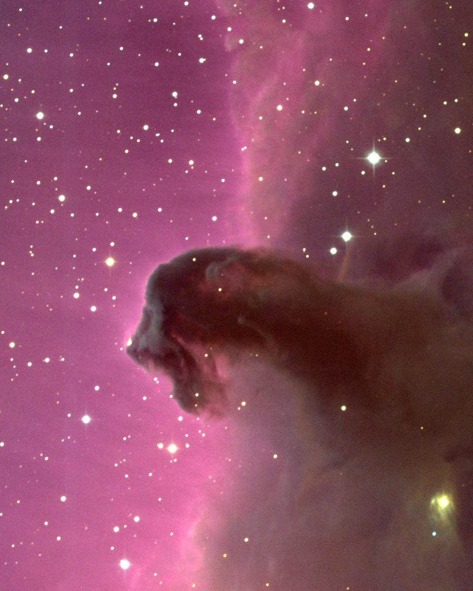 The Horsehead Nebula