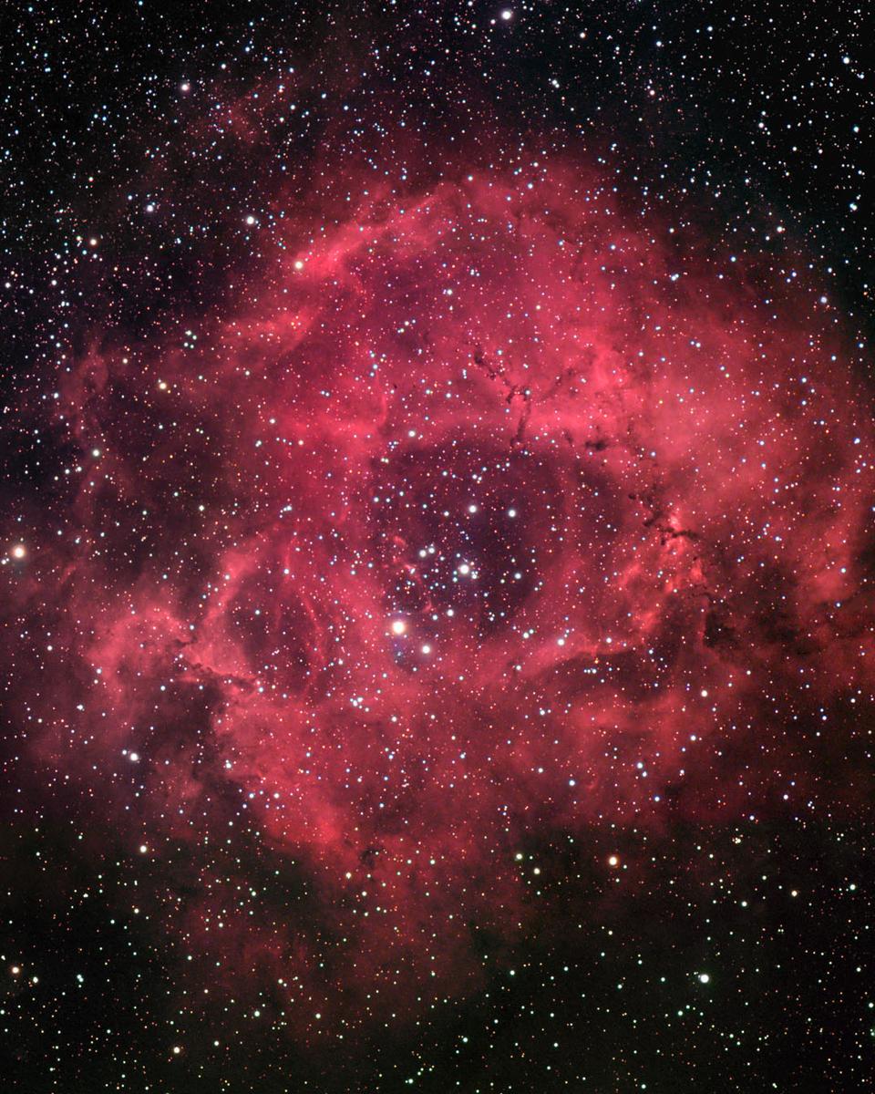 The Rosette Nebula