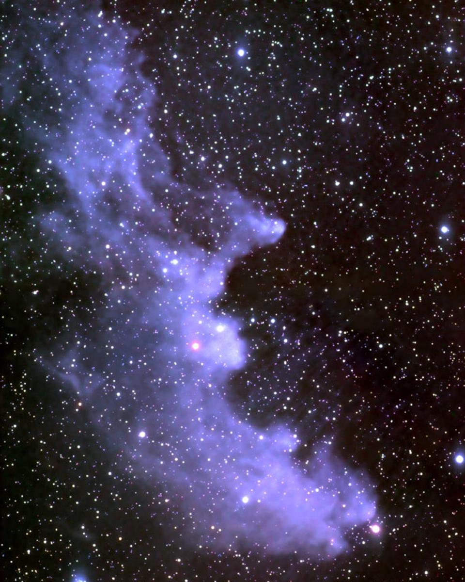 The Witch Head Nebula