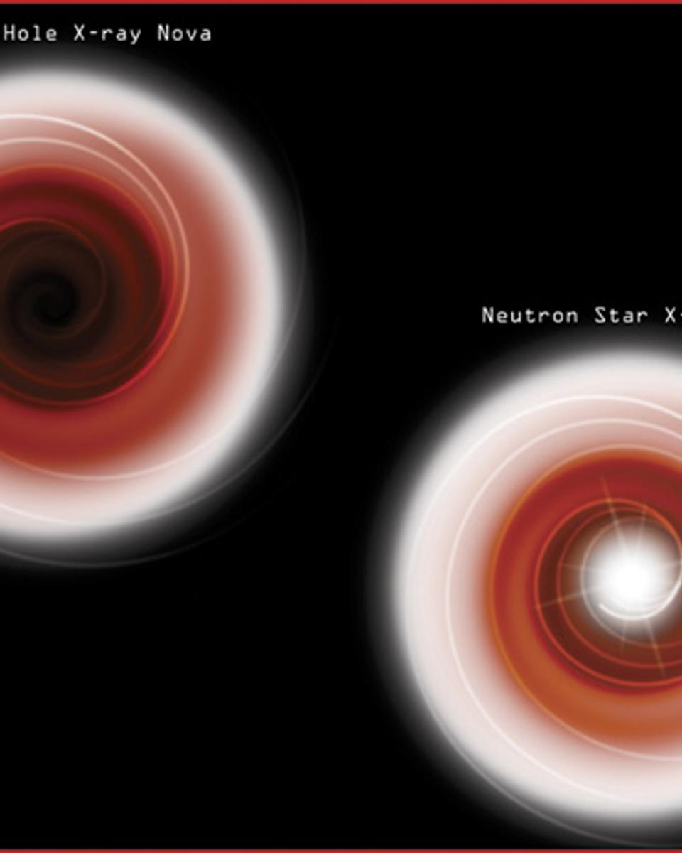Black Holes Are Black
