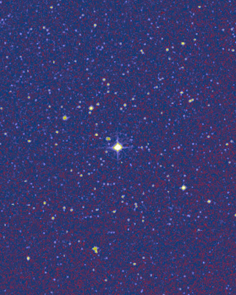 A Close Encounter Of The Stellar Kind