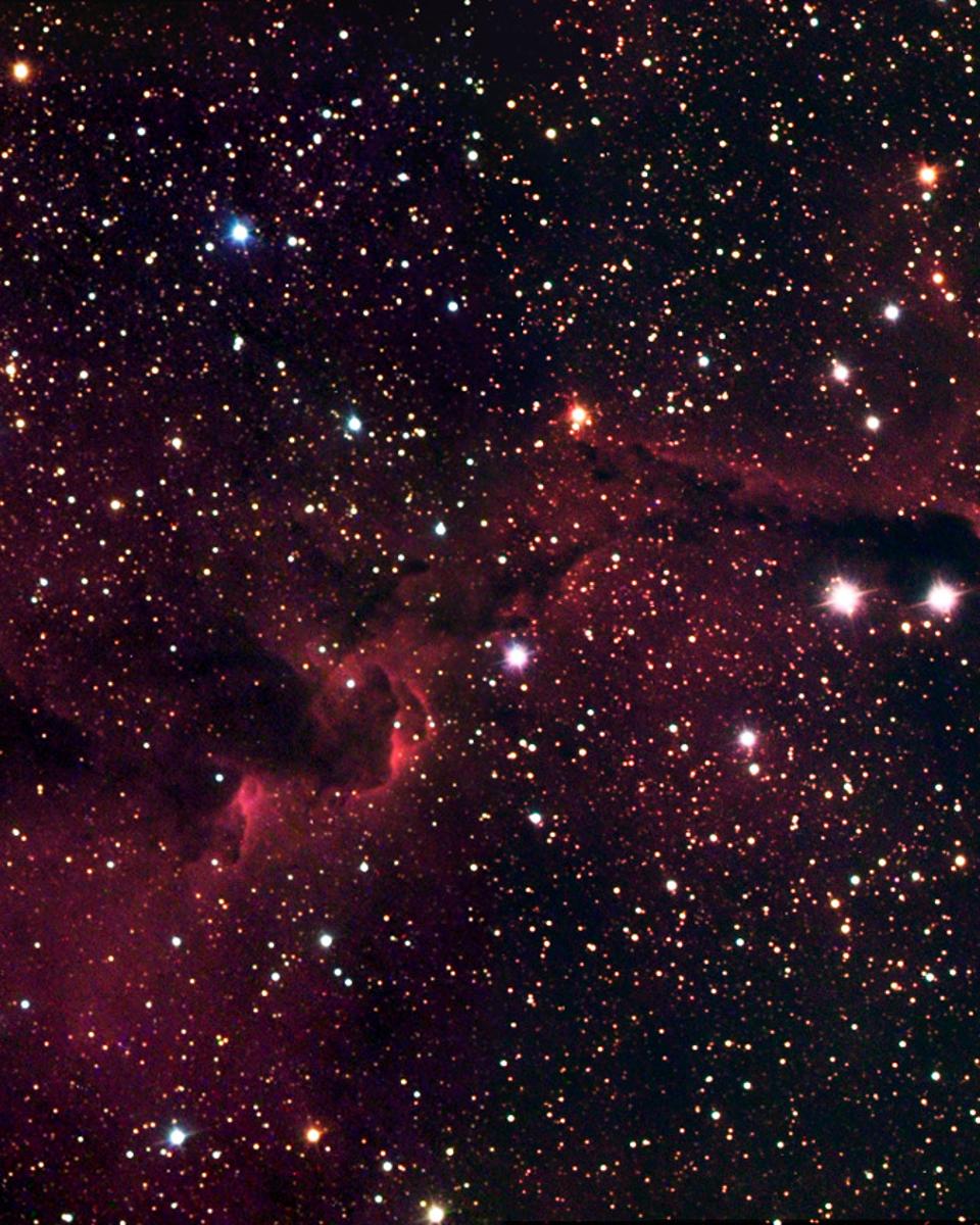 The Elephant's Trunk in IC 1396