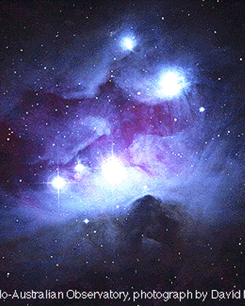 NGC 1977: Blue Reflection Nebula in Orion