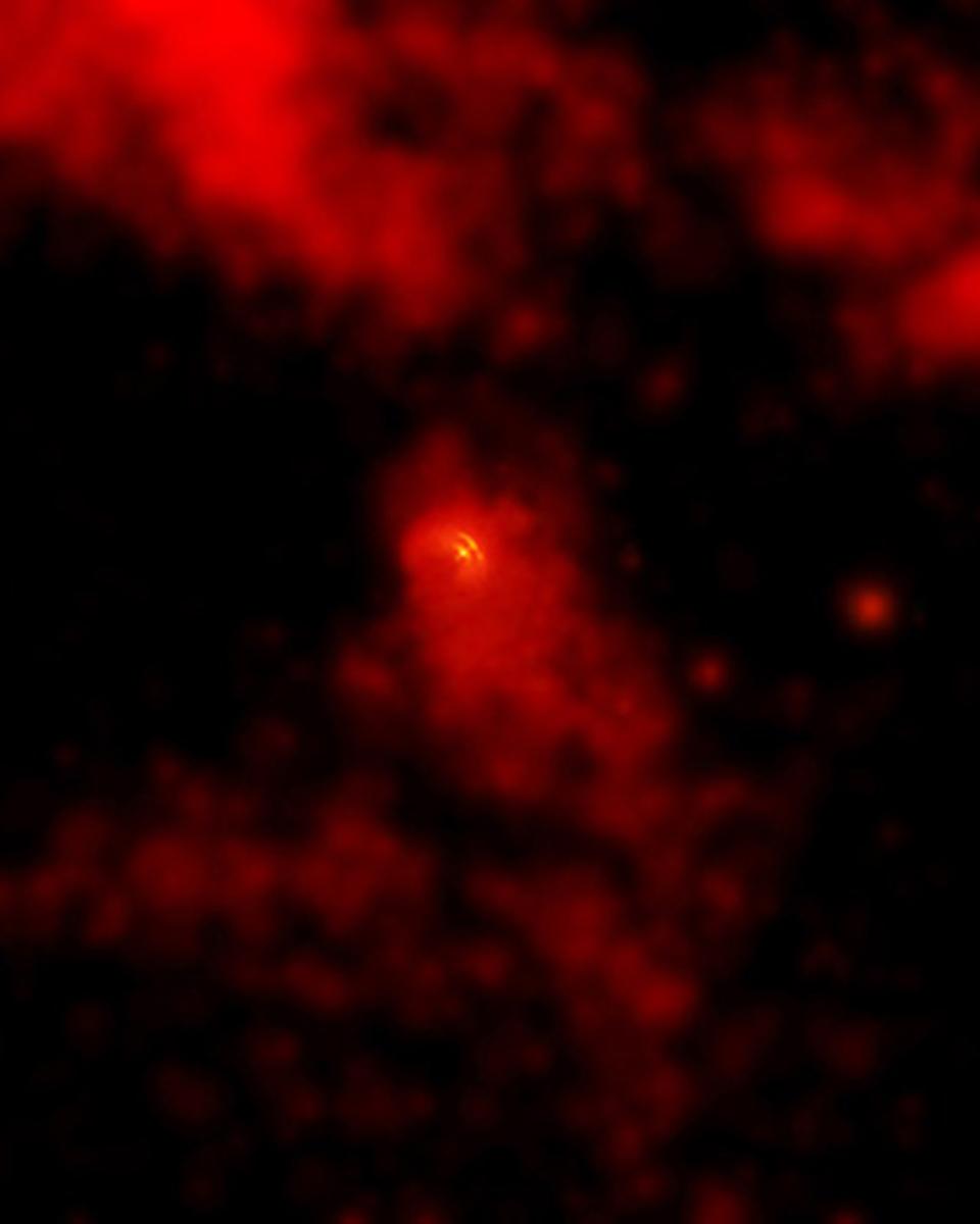 Pulsar Wind in the Vela Nebula