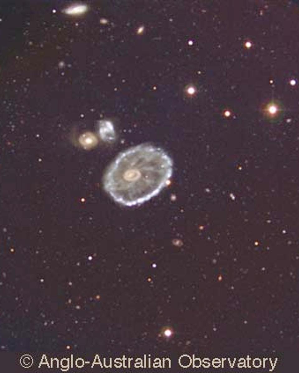 The Cartwheel Galaxy