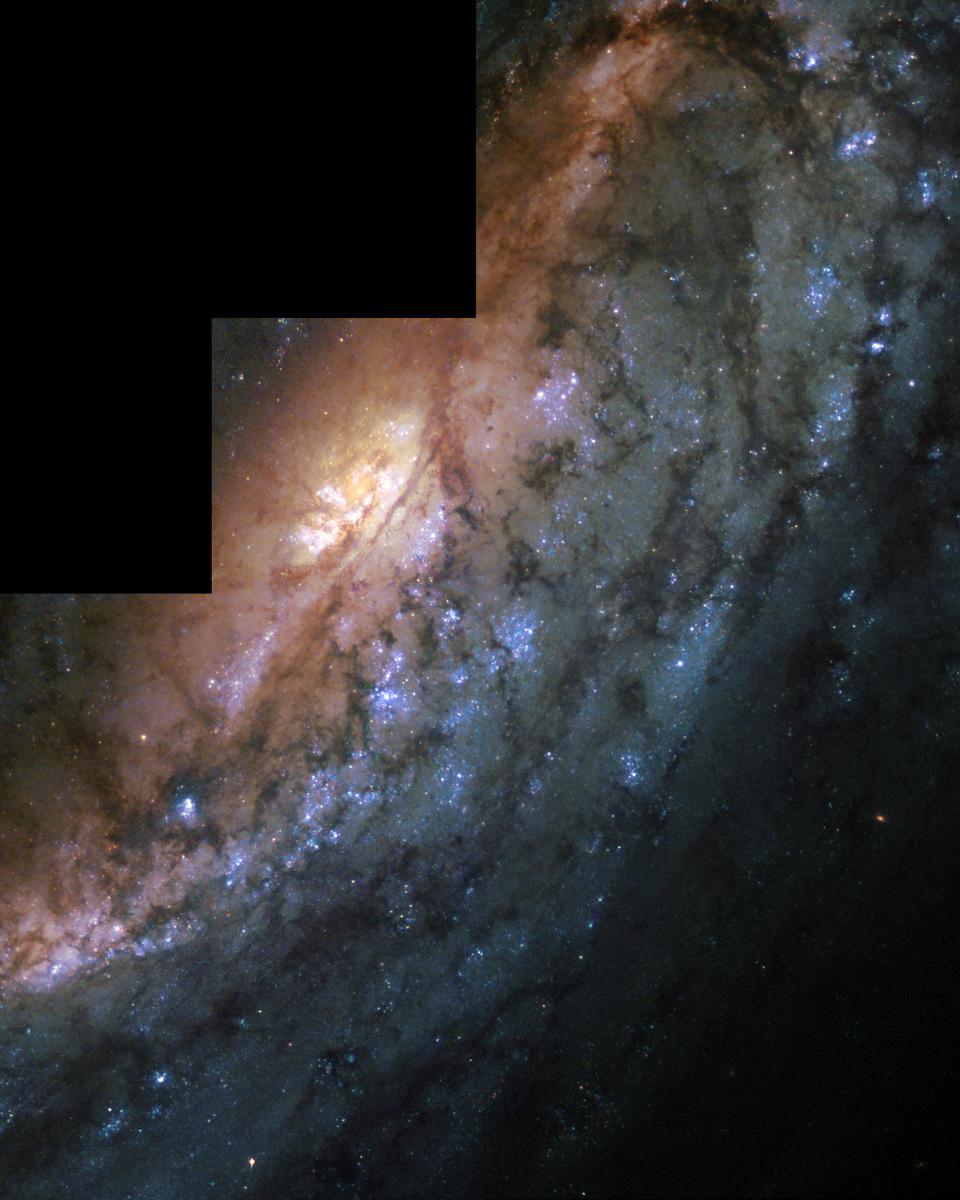 Barred Spiral Galaxy NGC 2903