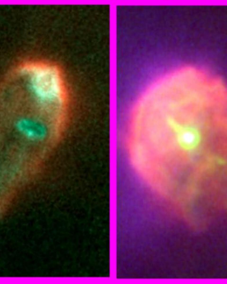 Protoplanetary Survivors in Orion