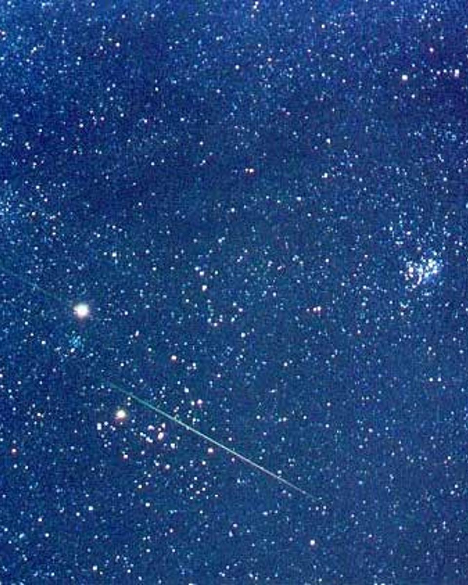 A Leonids Star Field