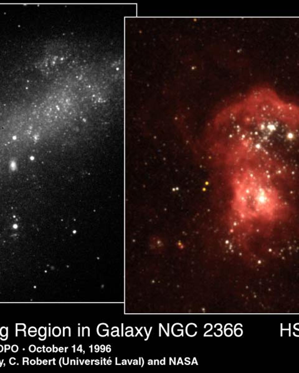 Bright Stars, Dim Galaxy