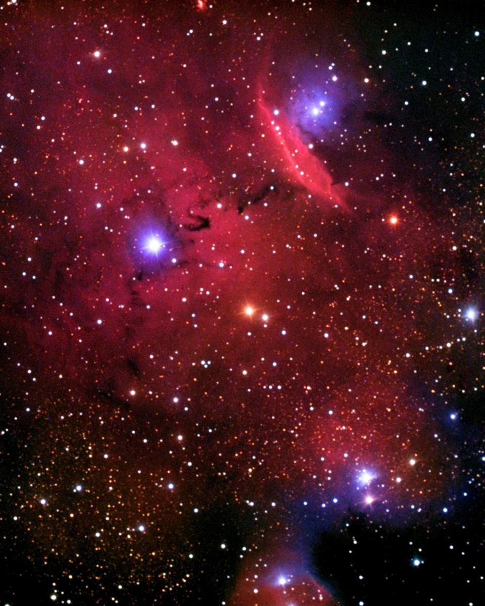 Emission and Reflection in NGC 6559