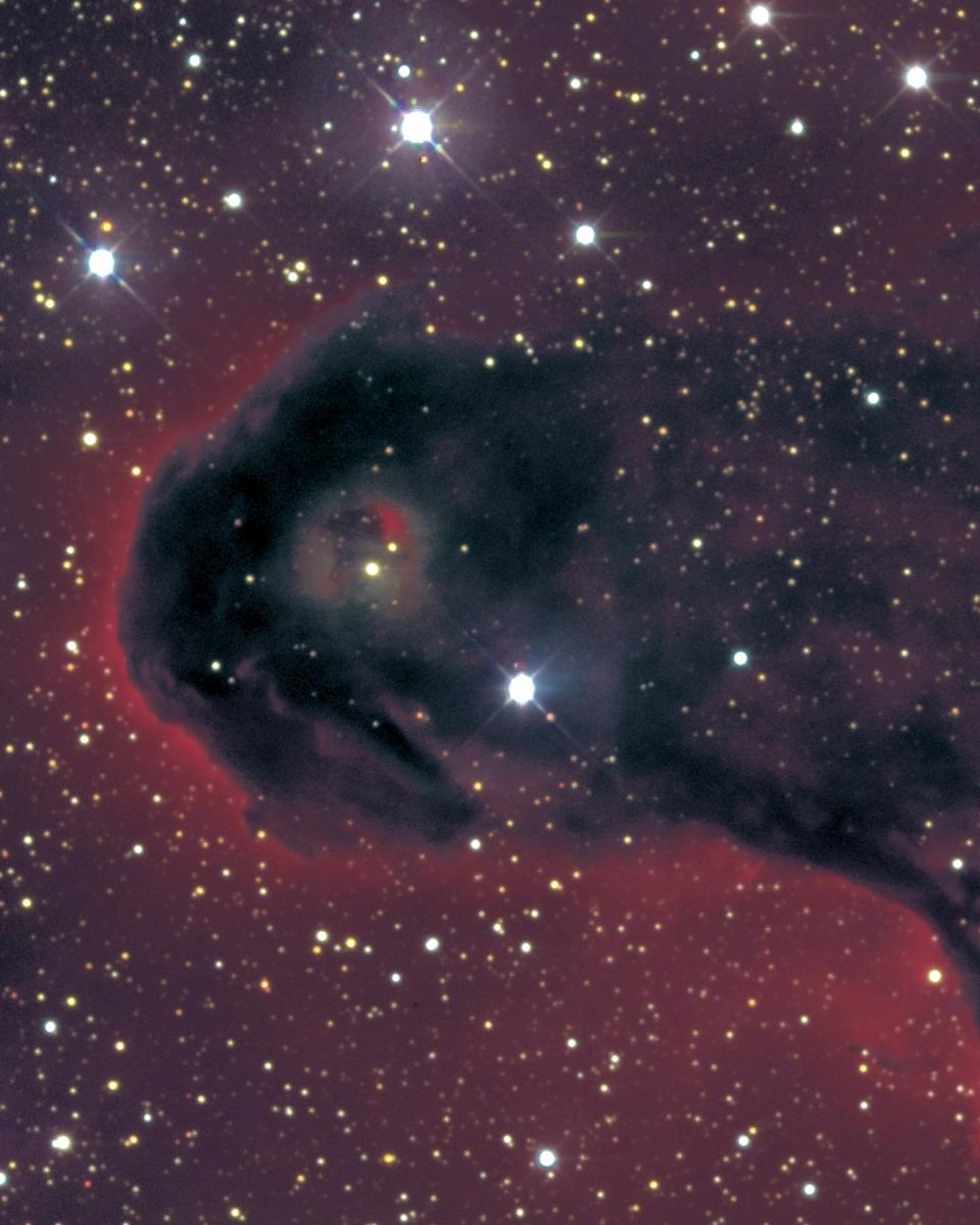VDB 142 in Cepheus