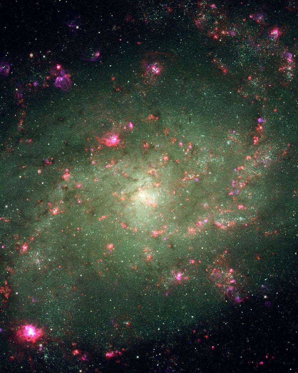 Elements of Nearby Spiral M33
