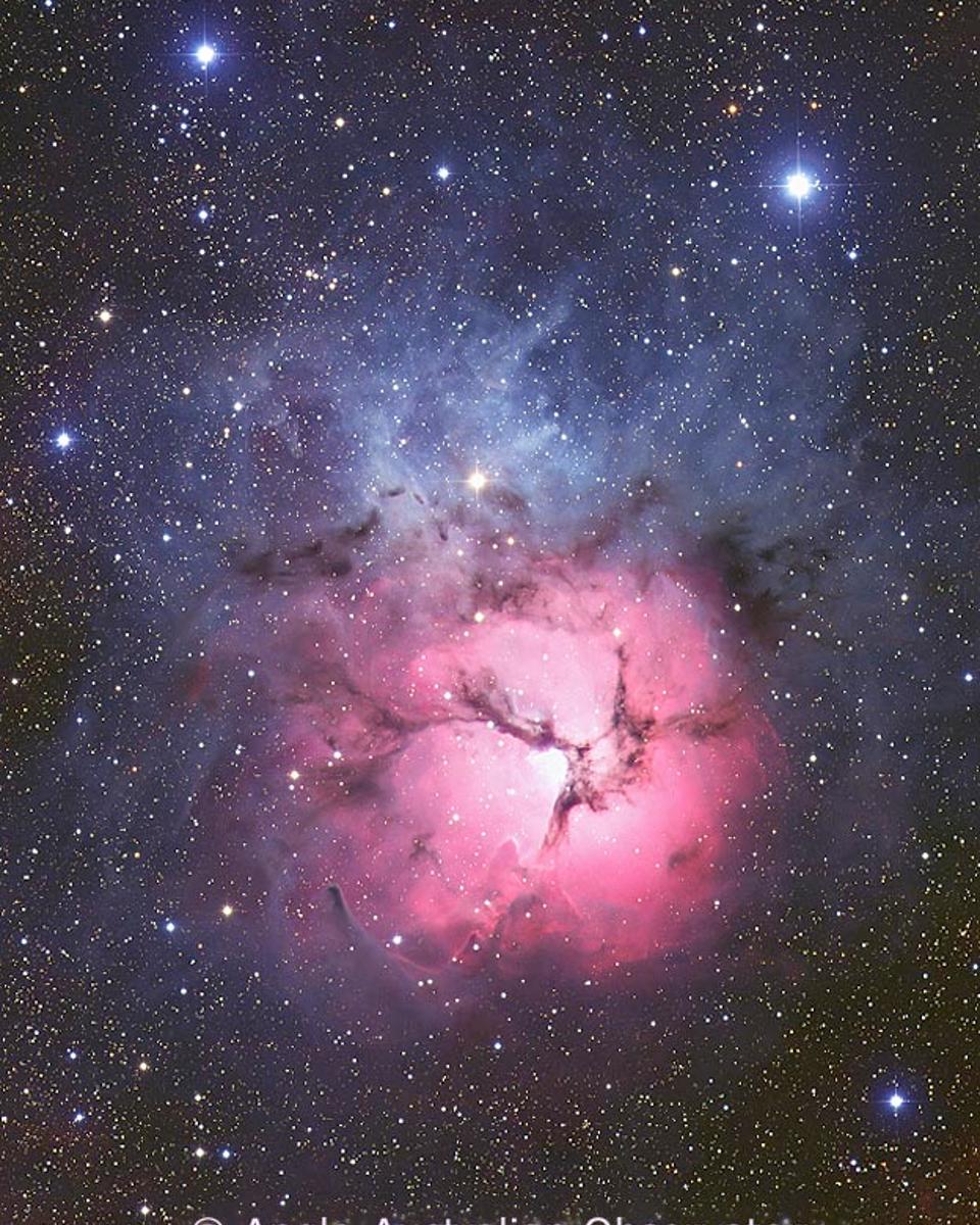 The Trifid Nebula from AAO