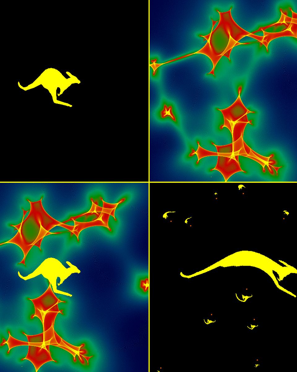 A Network of Microlensing Caustics