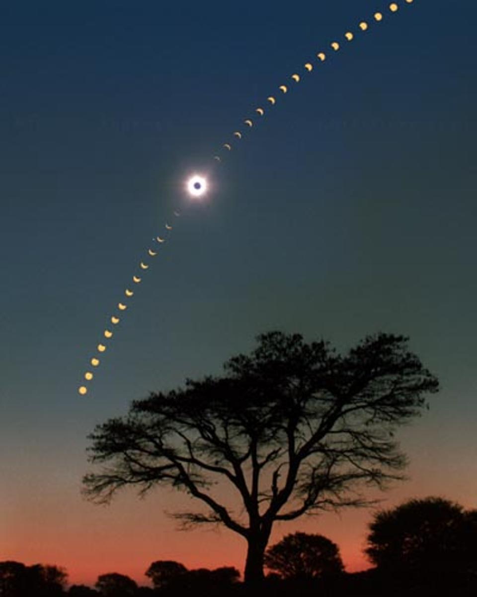 Eclipse Over Acacia